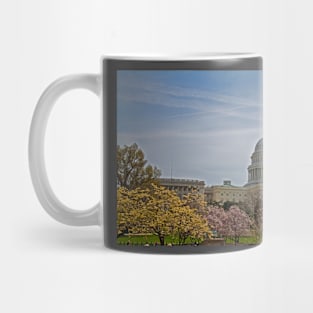 Spring in Washington DC Mug